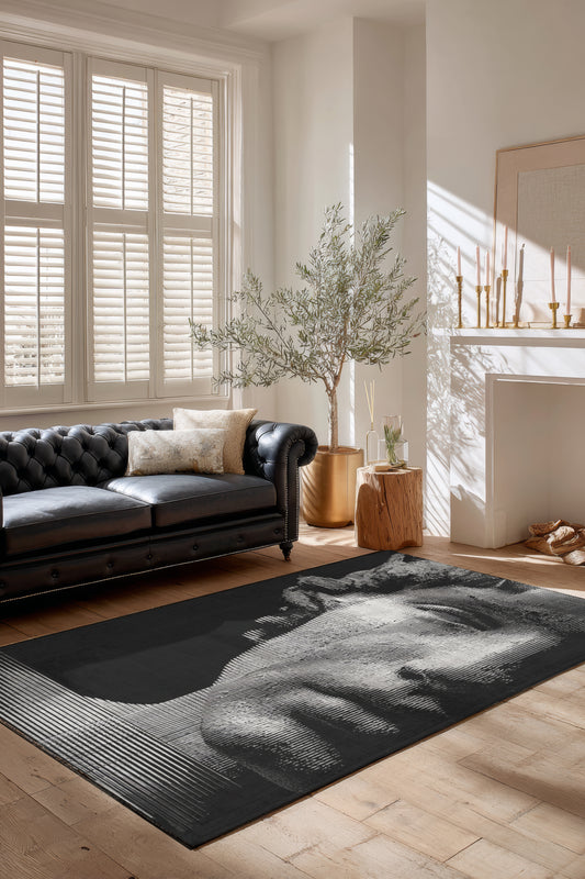 Allure 101 Siyah Beyaz Yüz Tasarım Halı Yıkanabilir Halı İnce Kilim Halı Oturma Odası Salon Halısı