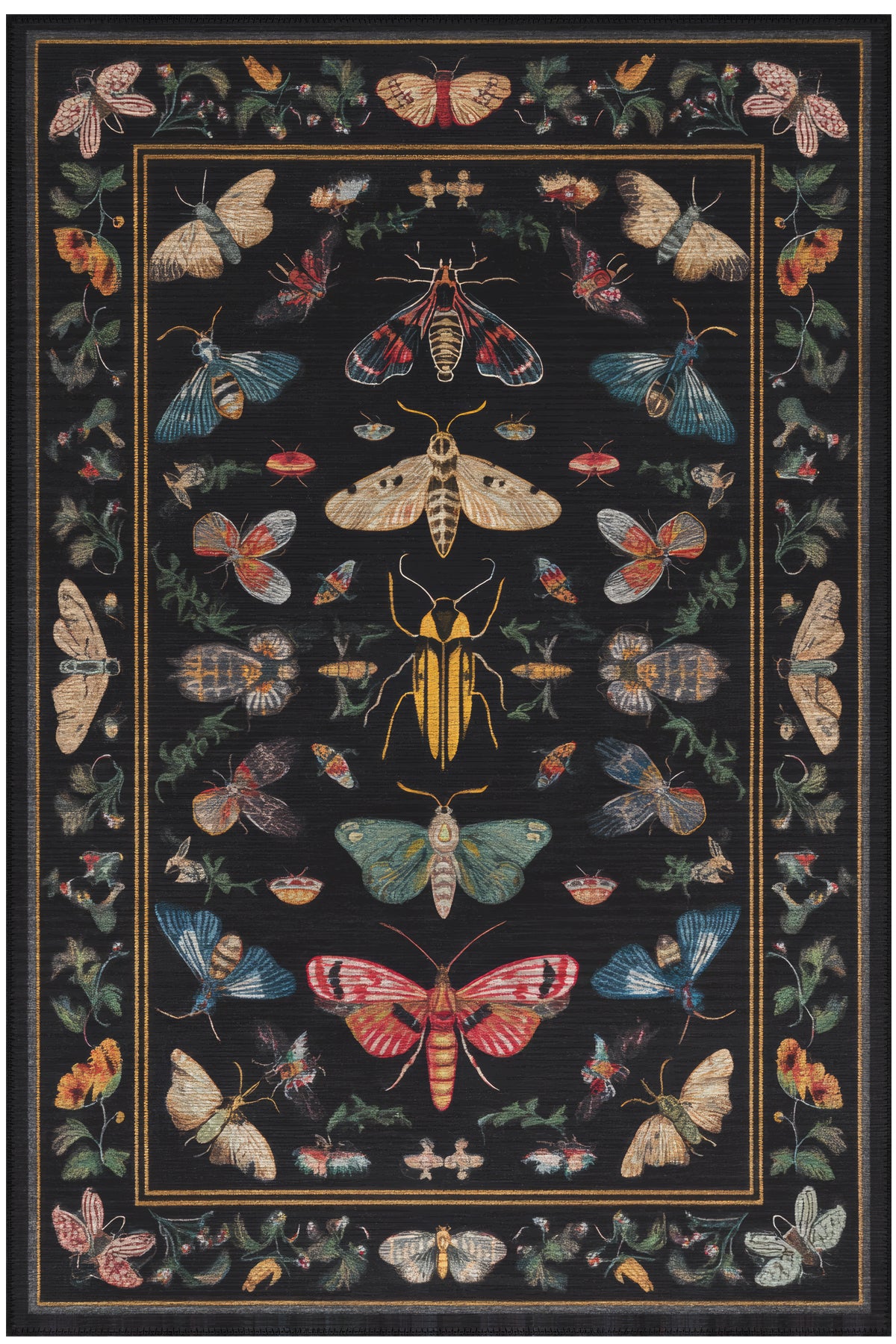 Fiora 218 Siyah Kelebekli Çiçekli Halı Tasarım Modern Oturma Odası İnce Yazlık Ev Oda Salon Halısı